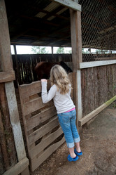 Similar image 8006025