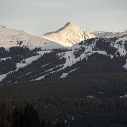 Similar image 8006029