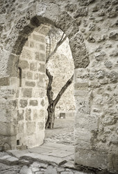 Similar image 8006030