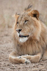 Similar image 8006034