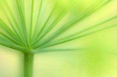 Similar image 8006040