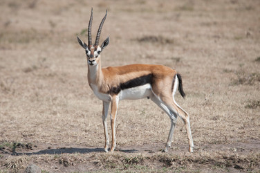 Similar image 8006041