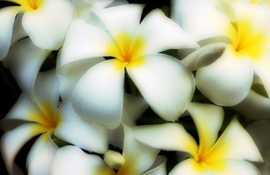 Similar image 8006048