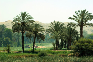 Similar image 8006051