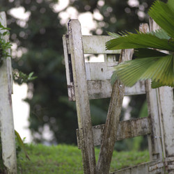 Similar image 8006052