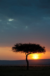 Similar image 8006059