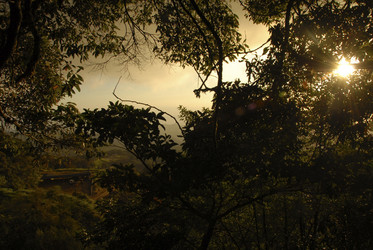 Similar image 8006061