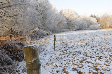 Similar image 8006064