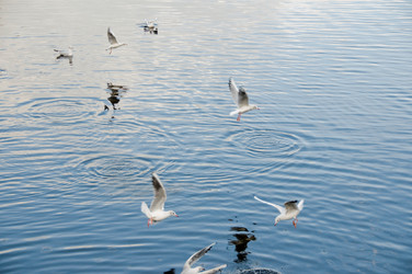 Similar image 8006068