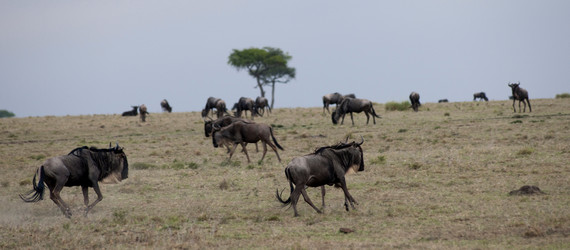 Similar image 8006074