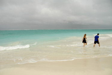 Similar image 8006075