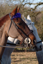 Similar image 8006077