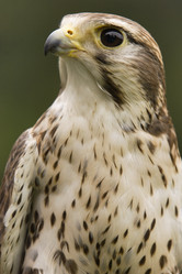 Similar image 8006078