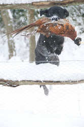 Similar image 8006081