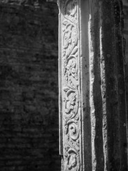 Similar image 8006083