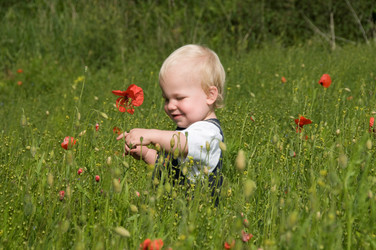 Similar image 8006097