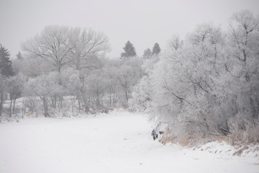 Similar image 8006106