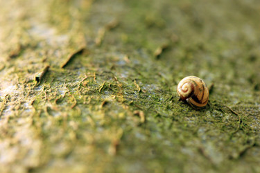 Similar image 8006107