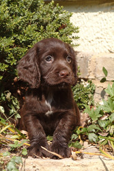 Similar image 8006154