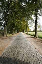 Similar image 8006155