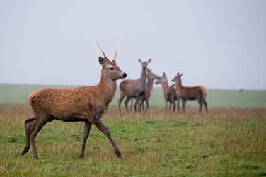 Similar image 8006159