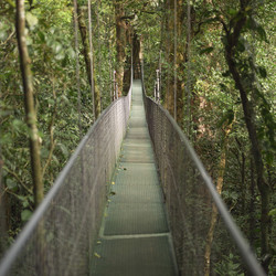 Similar image 8006160