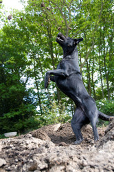 Similar image 8006162