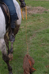 Similar image 8006166