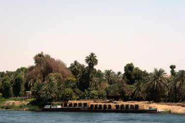 Similar image 8006167