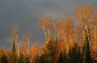 Similar image 8006175