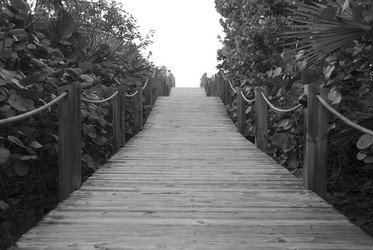 Similar image 8006177