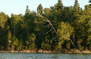 Similar image 8006180