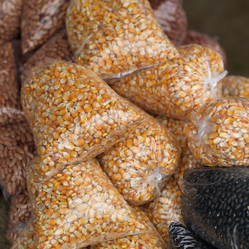 Similar image 8006181