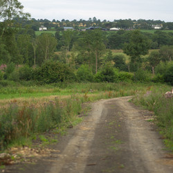 Similar image 8006192