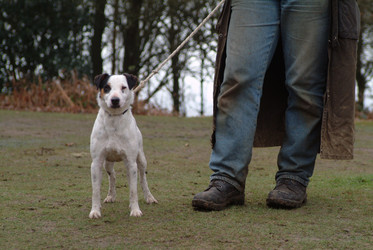 Similar image 8006194