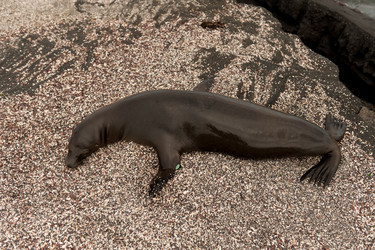 Similar image 8006195