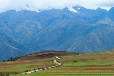 Similar image 8006197