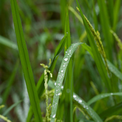 Similar image 8006199