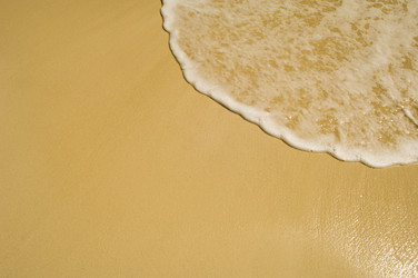 Similar image 8006203