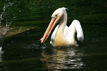 Similar image 8006205