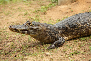 Similar image 8006214