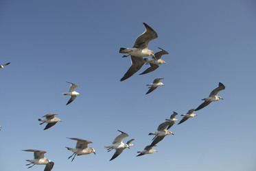 Similar image 8006217