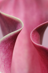 Similar image 8006218