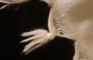 Similar image 8006219