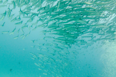 Similar image 8006227