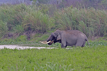 Similar image 8006235