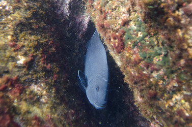 Similar image 8006239