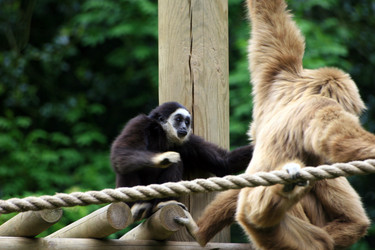 Similar image 8006249