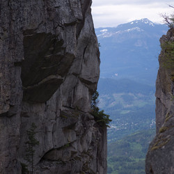 Similar image 8006251