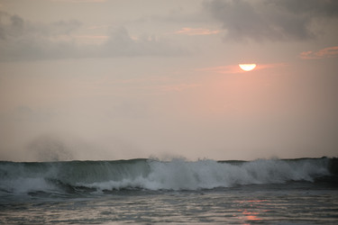 Similar image 8006256